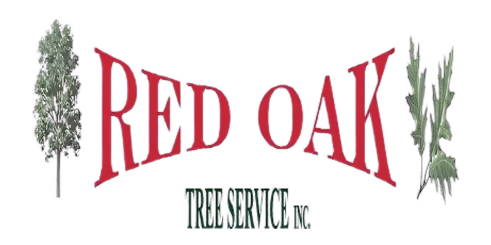 Tree Removal Crystal Lake IL