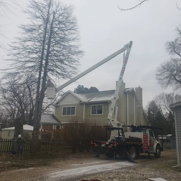 Tree Removal Service Carpentersville IL