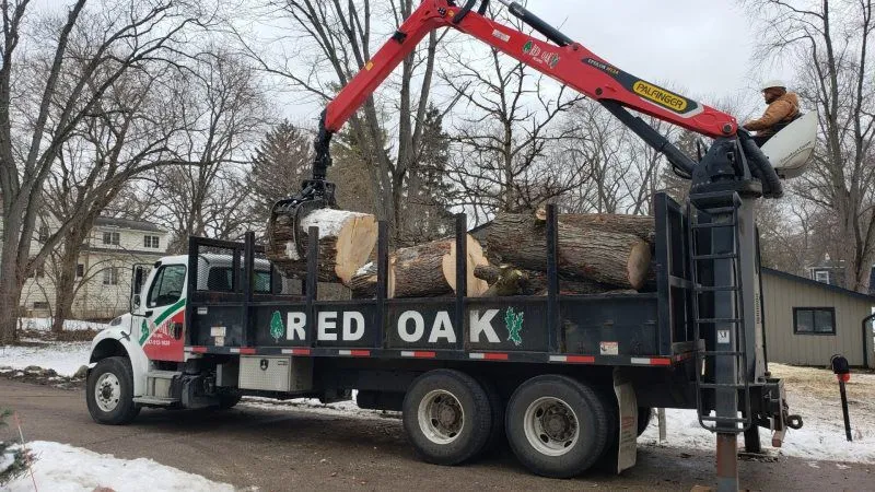 Tree Removal Service Carpentersville IL