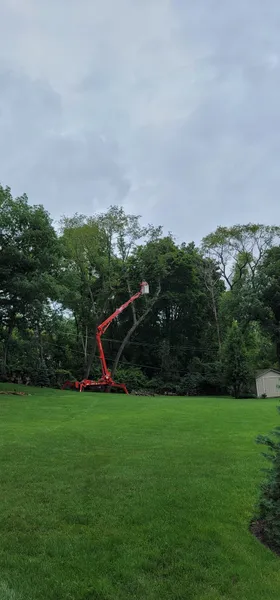 Tree Removal Service Carpentersville IL