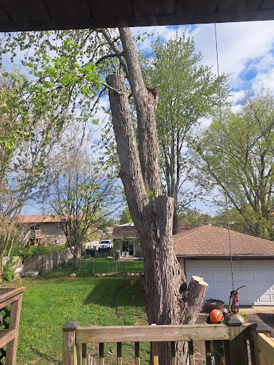 Tree Service Carpentarsville IL