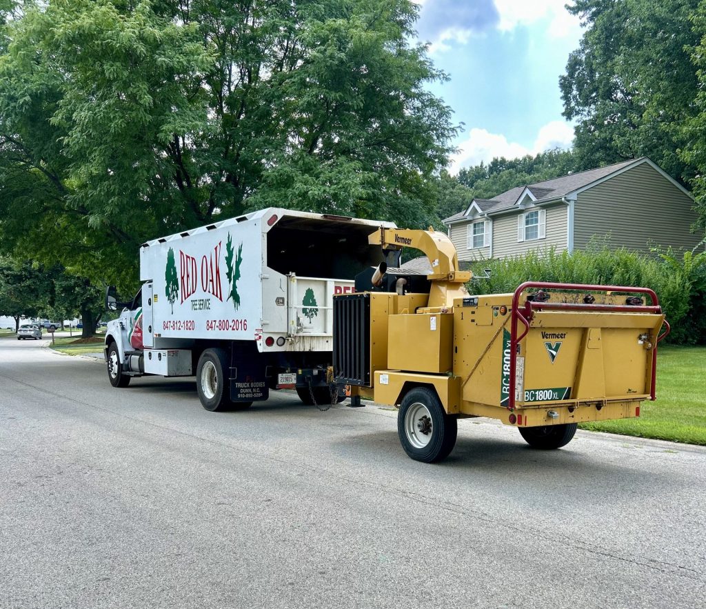 Tree Removal Service Carpentarsville IL